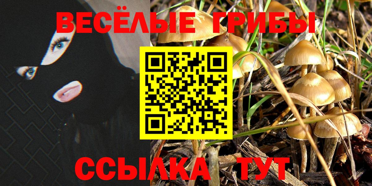 закладка  Вход с VPN  Галлюциногенные грибы Magic Shrooms  Можга  Галлюциногенные грибы ЛСД 