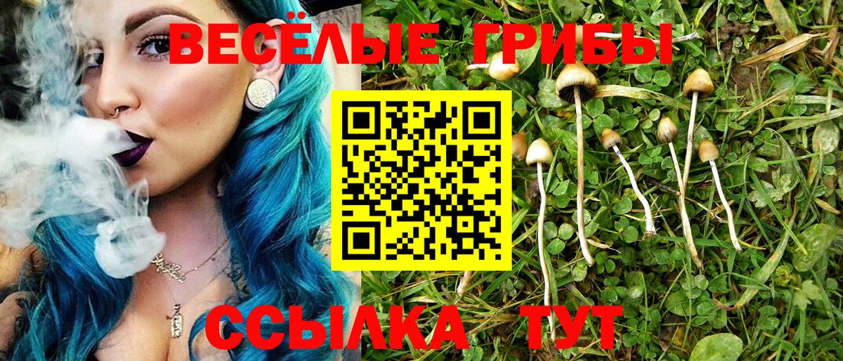 Каннабис  Вход с VPN  Мефедрон кристаллы  Мефедрон  ЭКСТАЗИ  Можга  ГАШИШ 