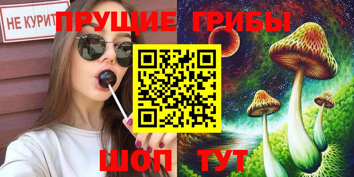 Псилоцибиновые грибы Cubensis Можга